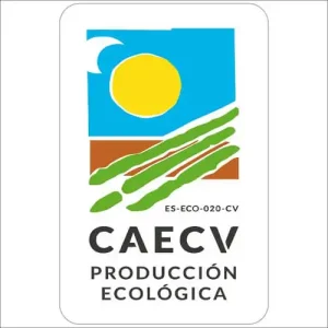 CAECV-VALENCIA