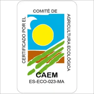 ES-CAEM